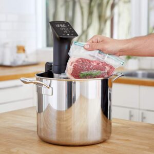 Anova Culinary Sous Vide Precision Cooker Pro, 1200 Watts, Black and Silver