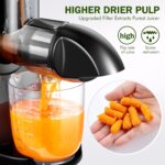 Cold Press Juicer Machines, AMZCHEF Slow Masticating Juicer with Reverse Function, High Juice Yield, Easy Clean with Brush, Recipes for High Nutrient Fruits and Vegetables, Black