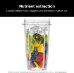 Ninja | Blender | Nutri Pro | Single Serve | For Smoothies, Salsa, Shakes and Frozen Drinks | Includes 2 Smoothie Cups & Lids | Crushes Ice, Fruit & Veggies |Silver | BN401