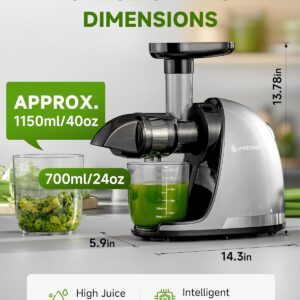AMZCHEF Cold Press Masticating Juicer Machine - 90% Yield Reverse System, Quiet Motor for Home & Breakfast, 3-Step Clean with Brush, Includes 50+ Juice Recipes, Light Grey